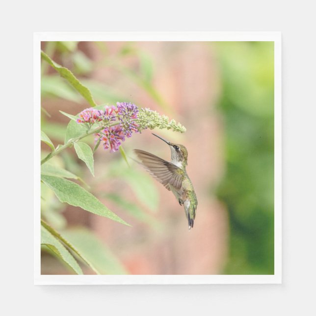 Hummingbird on a flowering plant napkins (Front)