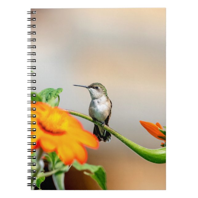 Hummingbird on a flowering plant notebook (Front)