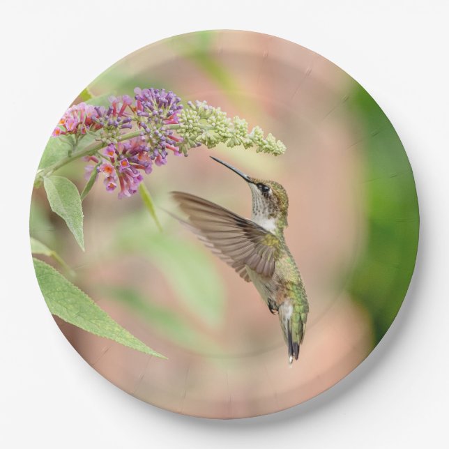 Hummingbird on a flowering plant paper plates (Front)