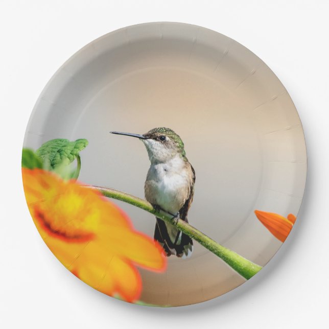 Hummingbird on a flowering plant paper plates (Front)