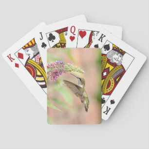 Hummingbird on a flowering plant poker cards