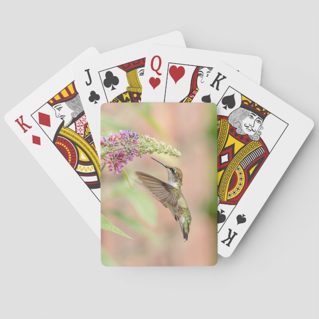Hummingbird on a flowering plant poker cards (Back)