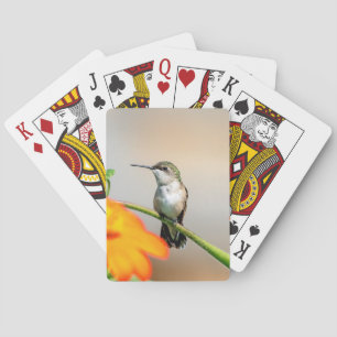 Hummingbird on a flowering plant poker cards