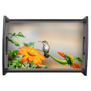 Hummingbird on a flowering plant serving tray