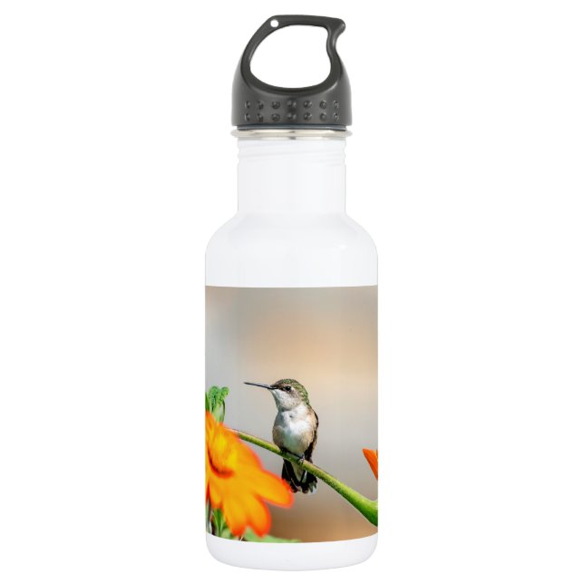 Hummingbird on a flowering plant water bottle (Front)