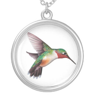 Hummingbird on a round Silver Locket Plated Necklace