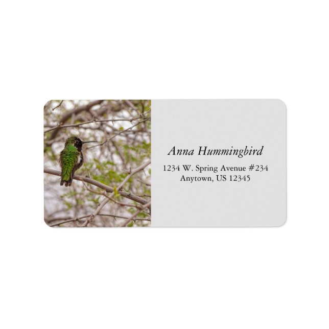 Hummingbird On Branch Spring Time Green Colors Label (Front)
