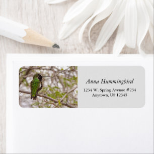 Hummingbird On Branch Spring Time Green Colors Label