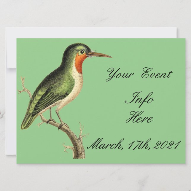 Hummingbird on Branch Thunder_Cove (Front)