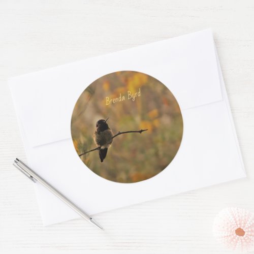 Hummingbird On Branch Warm Colors Envelope Seals