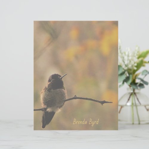 Hummingbird On Branch Warm Colors Stationery