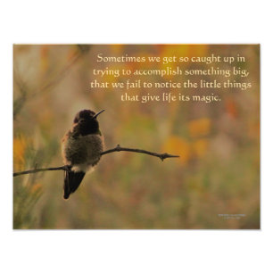 Hummingbird On Branch Warm Yellow Green Colors Photo Print