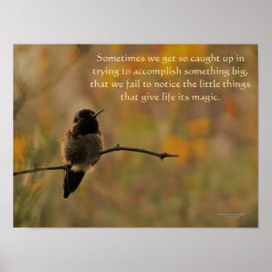 Hummingbird On Branch Warm Yellow Green Colors Poster