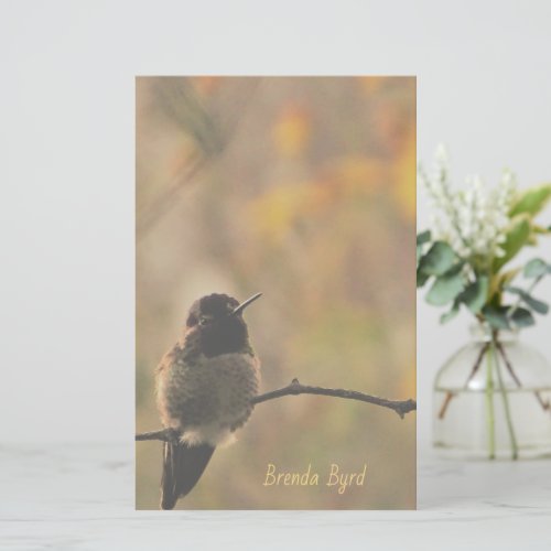 Hummingbird On Branch Warm Yellow Green Colors Stationery