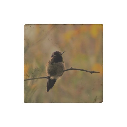 Hummingbird On Branch Warm Yellow Green Colors Stone Magnet