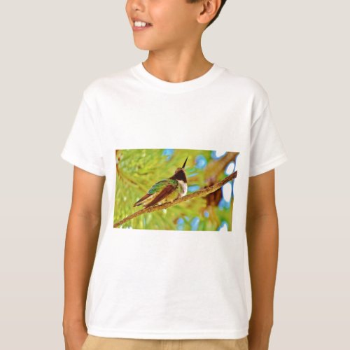 Hummingbird on evergreen T_Shirt