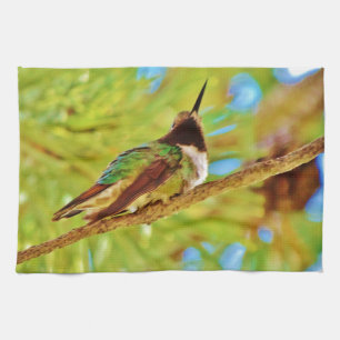 Hummingbird on evergreen towel