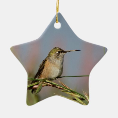 hummingbird on grass ceramic ornament