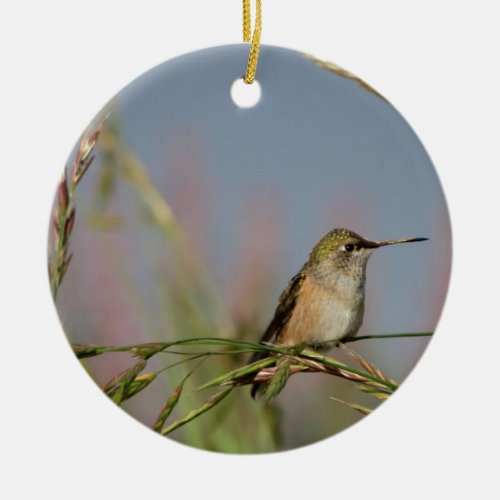 hummingbird on grass ceramic ornament