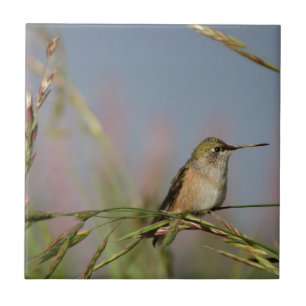 hummingbird on grass ceramic tile