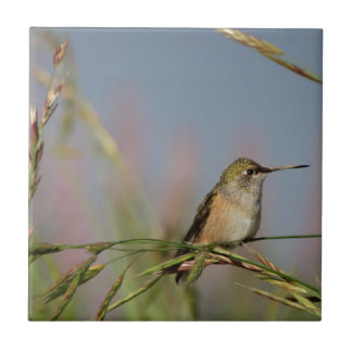 hummingbird on grass ceramic tile
