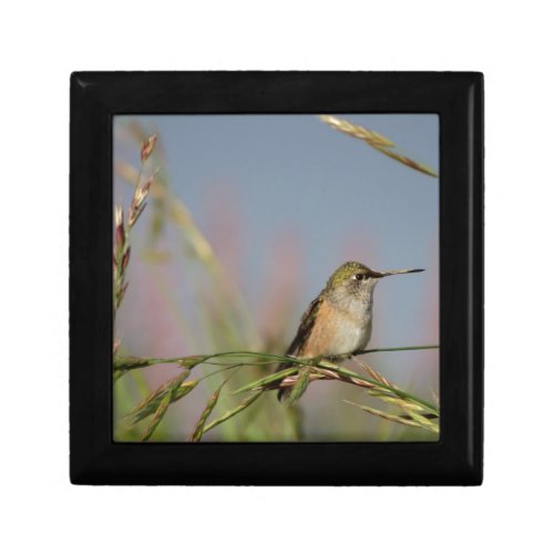 hummingbird on grass jewelry box