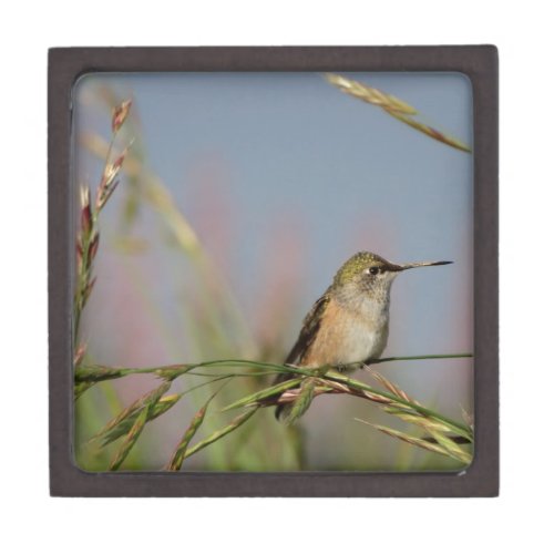 hummingbird on grass keepsake box