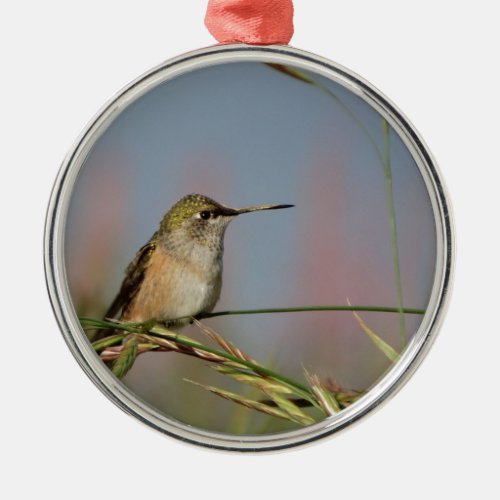 hummingbird on grass metal ornament