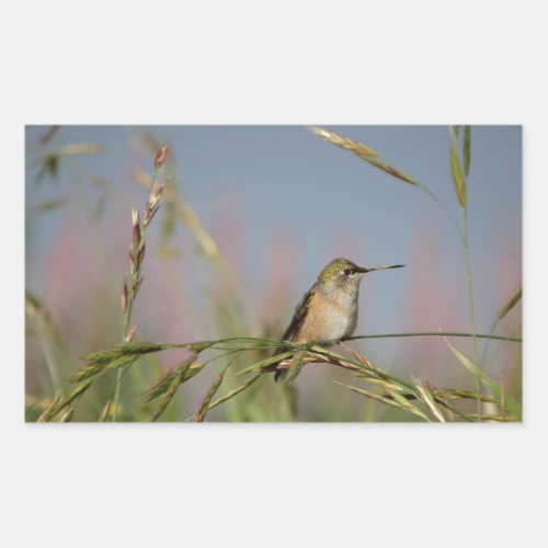 hummingbird on grass rectangular sticker