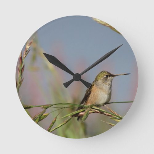 hummingbird on grass round clock