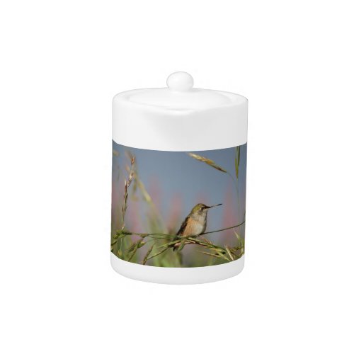 hummingbird on grass teapot