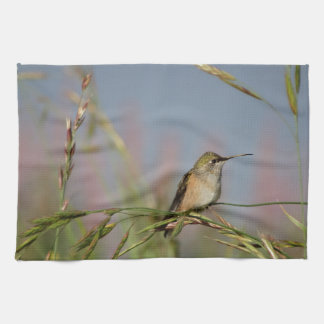 hummingbird on grass towel