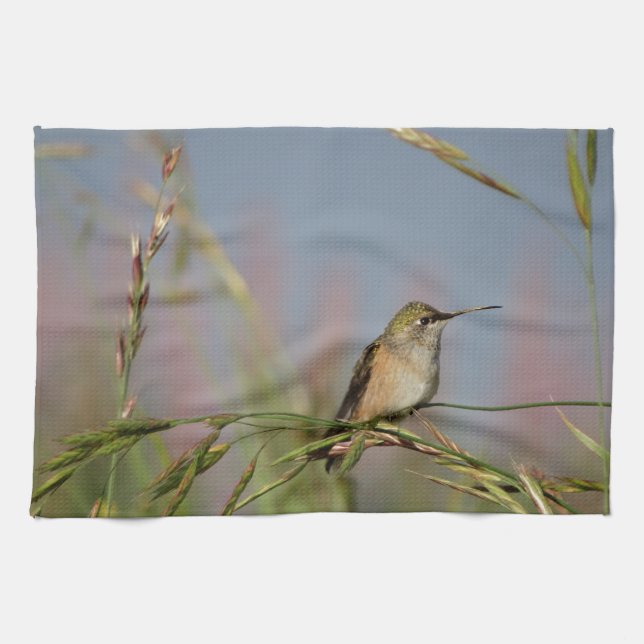 hummingbird on grass towel (Horizontal)