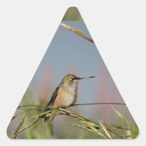 hummingbird on grass triangle sticker