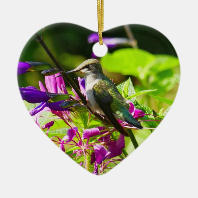 Hummingbird on Hummingbird Mint Colorful Nature Ceramic Ornament (Front)