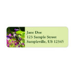 Hummingbird on Hummingbird Mint Colorful Nature Label
