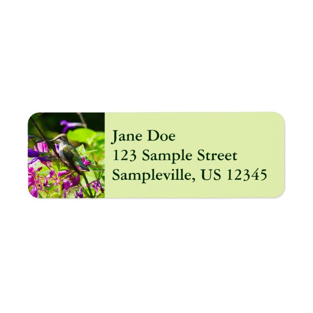 Hummingbird on Hummingbird Mint Colorful Nature Label (Front)