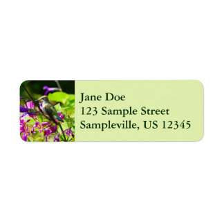 Hummingbird on Hummingbird Mint Label