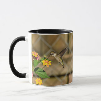 Hummingbird on Lantana 11 oz Mug