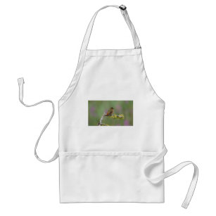 Hummingbird on pine adult apron