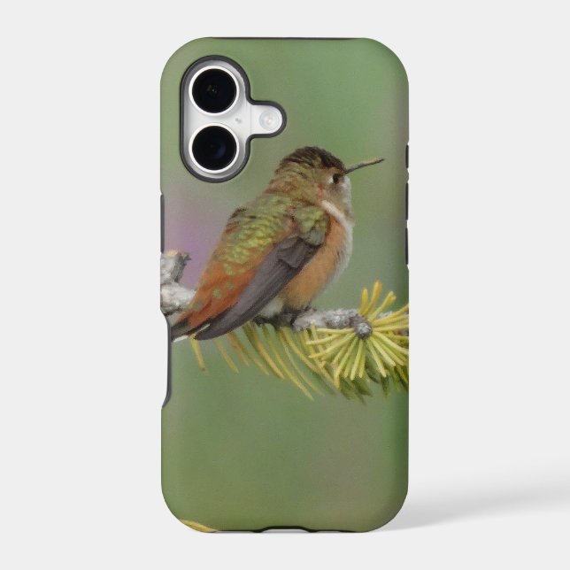 Hummingbird on pine iphone case (Back)