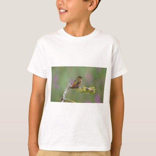 Hummingbird on pine T_Shirt