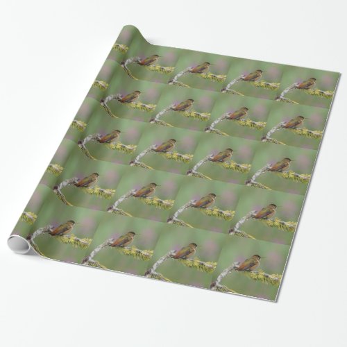 Hummingbird on pine wrapping paper