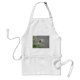 Hummingbird on Queen Ann's lace flower Adult Apron