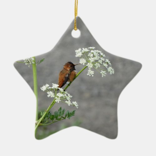 Hummingbird on Queen Anns lace flower Ceramic Ornament