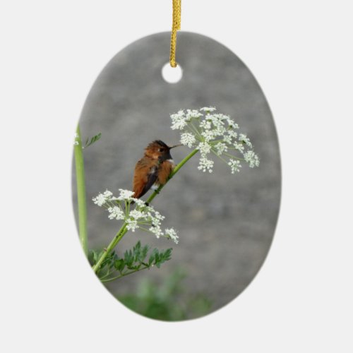 Hummingbird on Queen Anns lace flower Ceramic Ornament