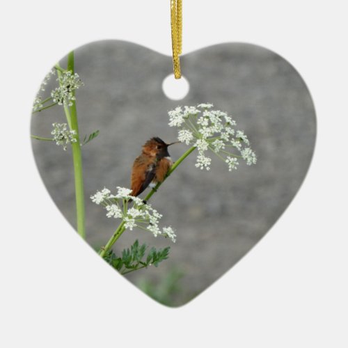 Hummingbird on Queen Anns lace flower Ceramic Ornament