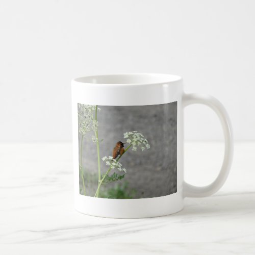 Hummingbird on Queen Anns lace flower Coffee Mug