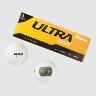 Hummingbird on Wilson 500 Golfballs Golf Balls