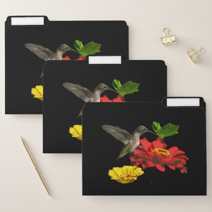 Hummingbird on Zinnia Flowers File Folder Set